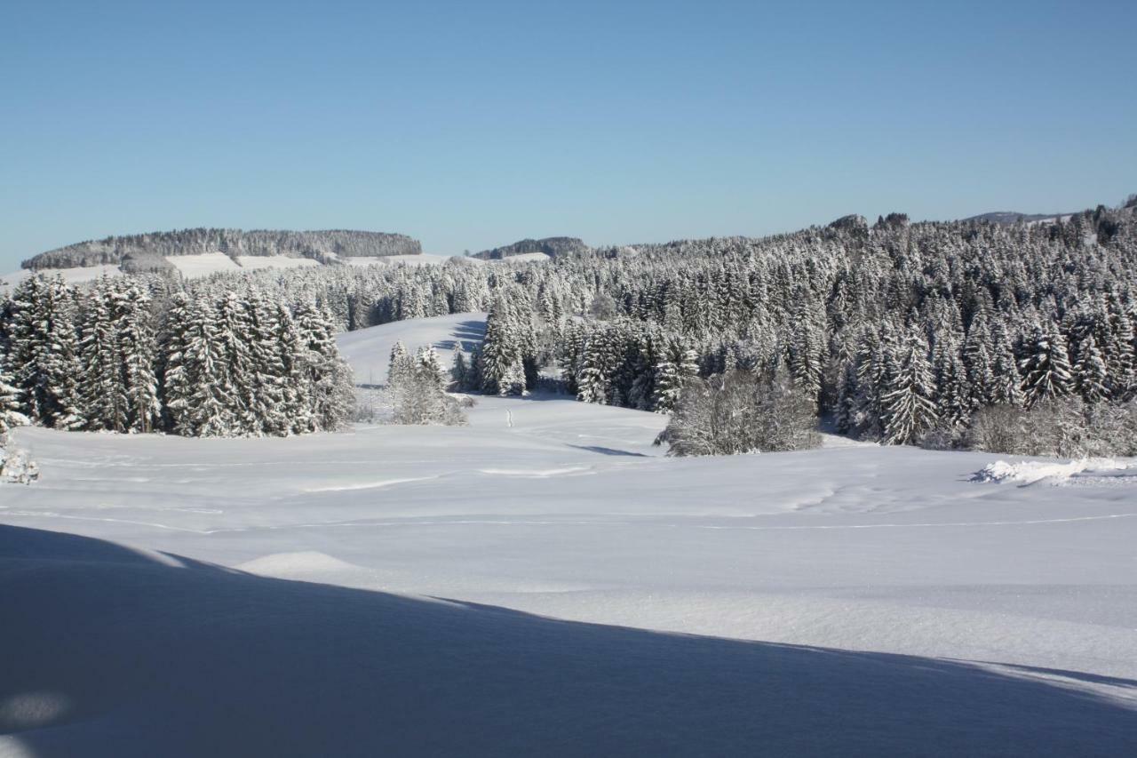Ferienwohnung Nagelfluh Allgaeu オーバーロイテ エクステリア 写真